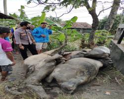 Polres Lebak dan Polsek Panggarangan s