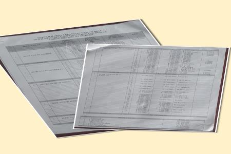 LELANG SAWAH BKM DIDUGA KISRUH DI DESA SERANGAN BONANG DEMAK