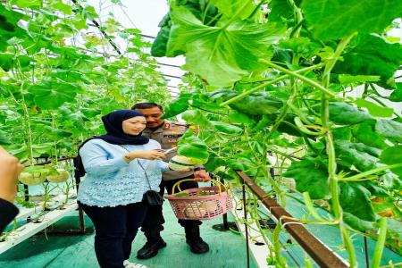 DESTINASI WISATA PETIK BUAH ARTANS