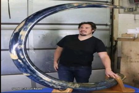 KEAJAIBAN BIRU DARI ZAMAN ES: GADI