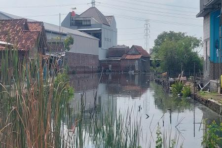Wilayah Pesisir  Demak Apakah Sudah Menjadi Target Pembiaran 