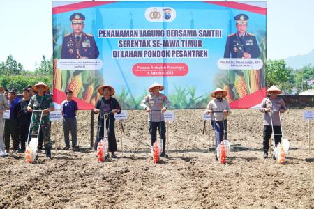Program Penanaman Jagung Bersama Santr