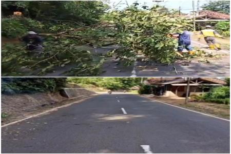 DPUPR UPTDPJJ Lebak Bergerak Cepat Tan