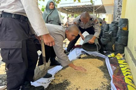 Wujudkan Kampus Hijau Ratusan Calon Bi