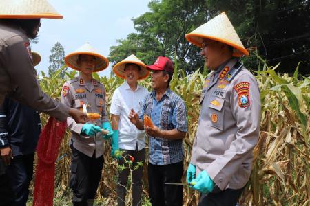 Dukung Swasembada Pangan Nasional Polr