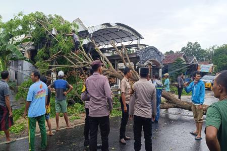 Piket Pamapta Polres Sumenep Tangani Pohon Tumbang di jalan Raya Gapur